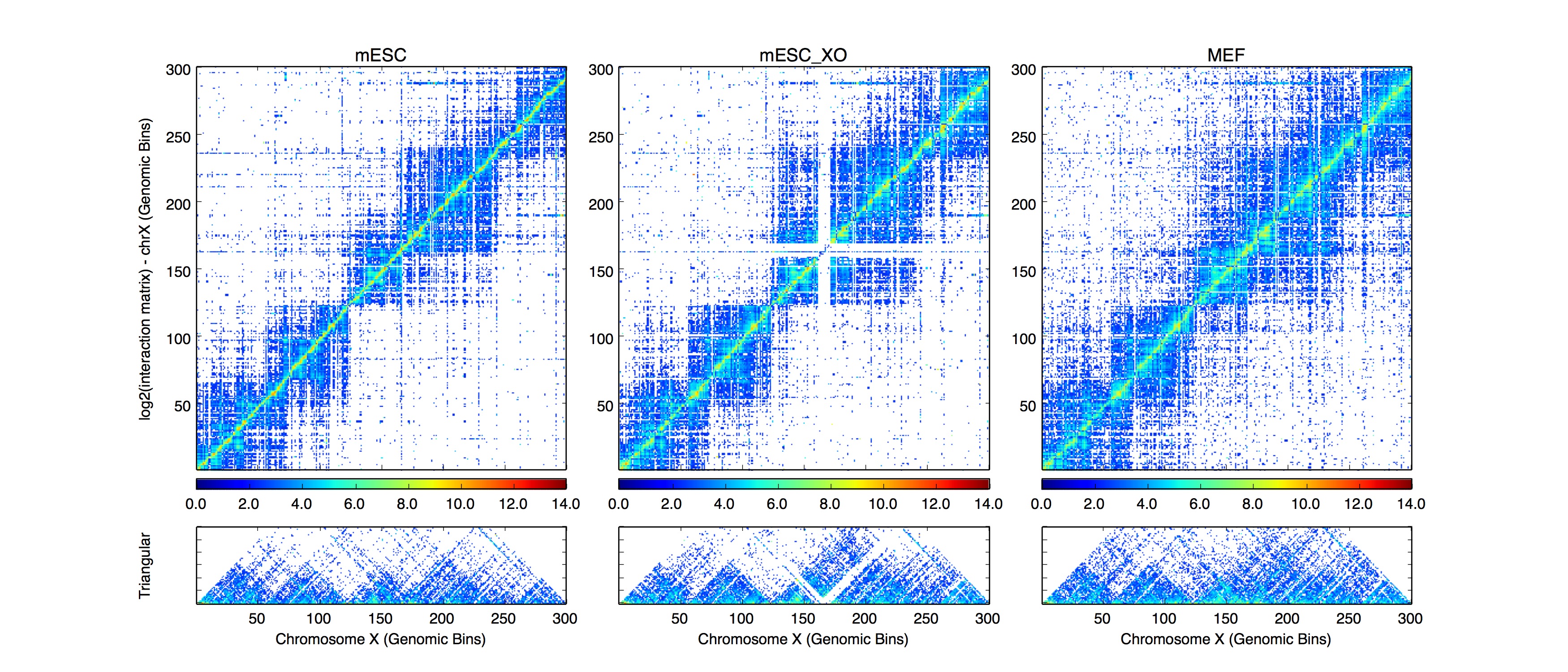 5C-chrX.ofBins(0-300).RandomBins.jpeg