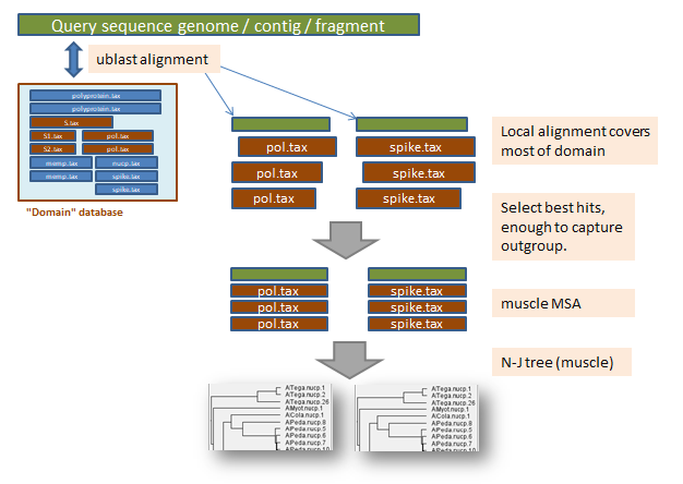 Summary report example