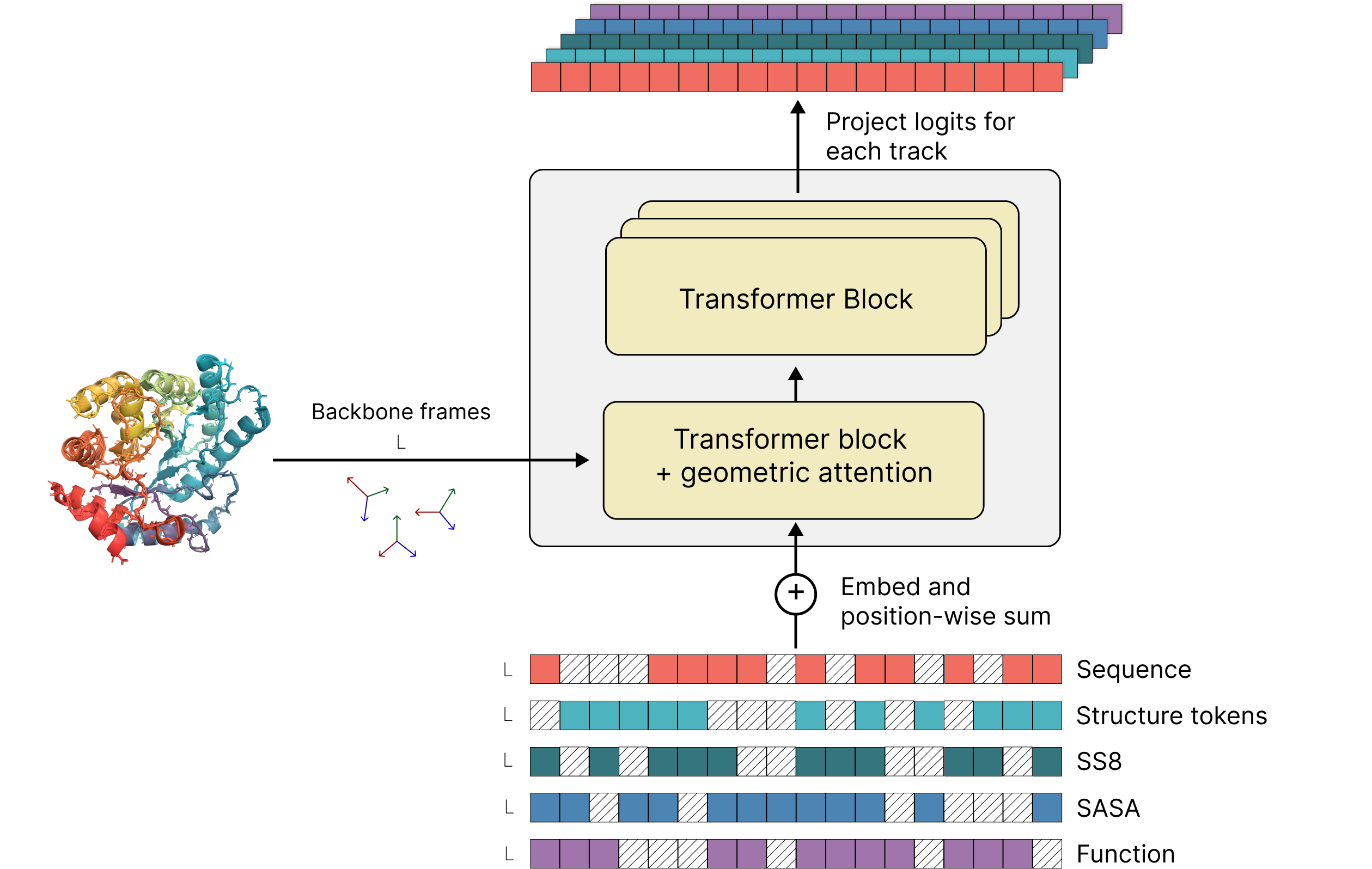 ESM3 Architecture.png