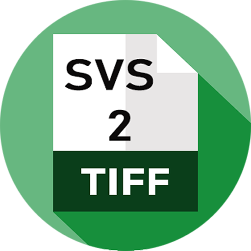 svs2tiff.png