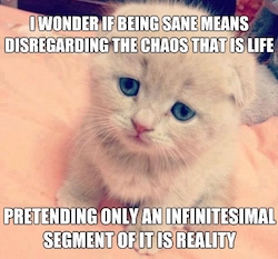 chaos-kitty.jpg