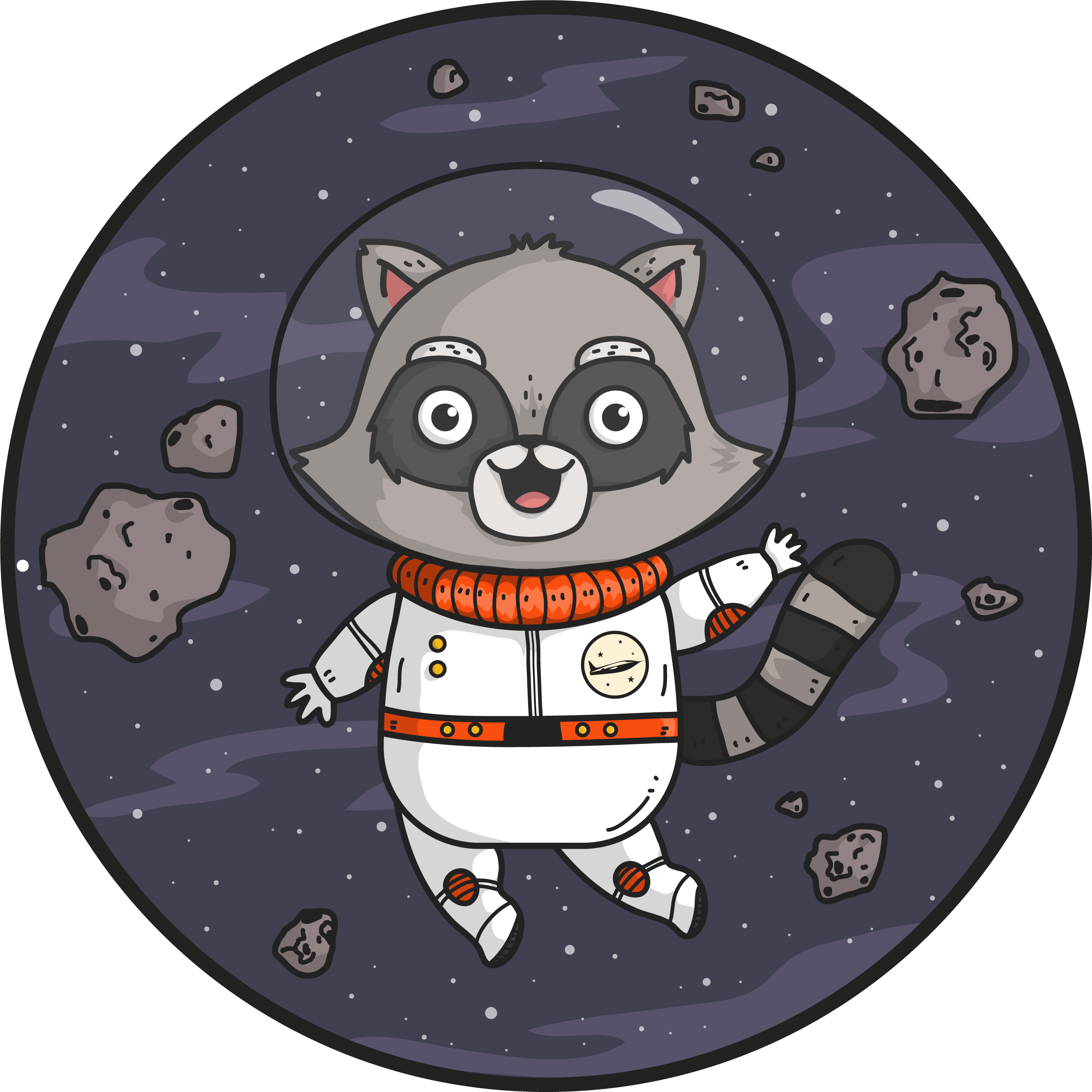 SPACE_RACOON.png