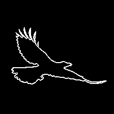 bird001.png