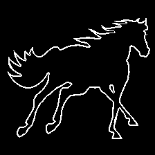 horse001.png