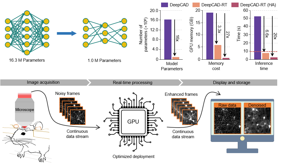 schematic.png