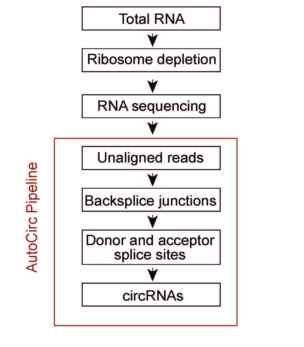 AutoCirc_Workflow.jpg