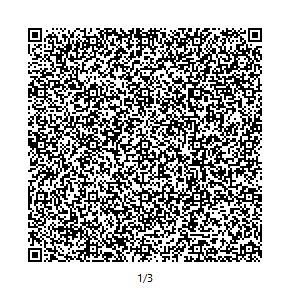 QR1.png