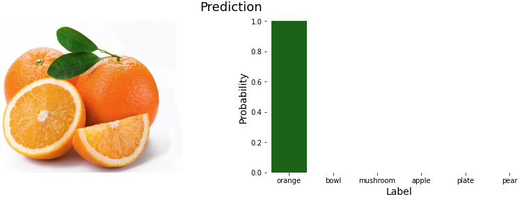 Correct_Prediction2.png