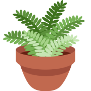 potted-plant-icon.png