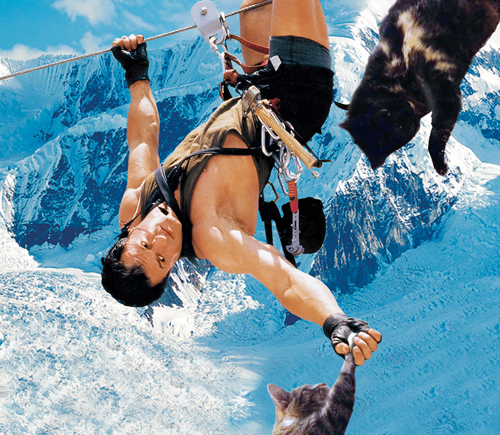 cliffhanger-cat-cropped.png