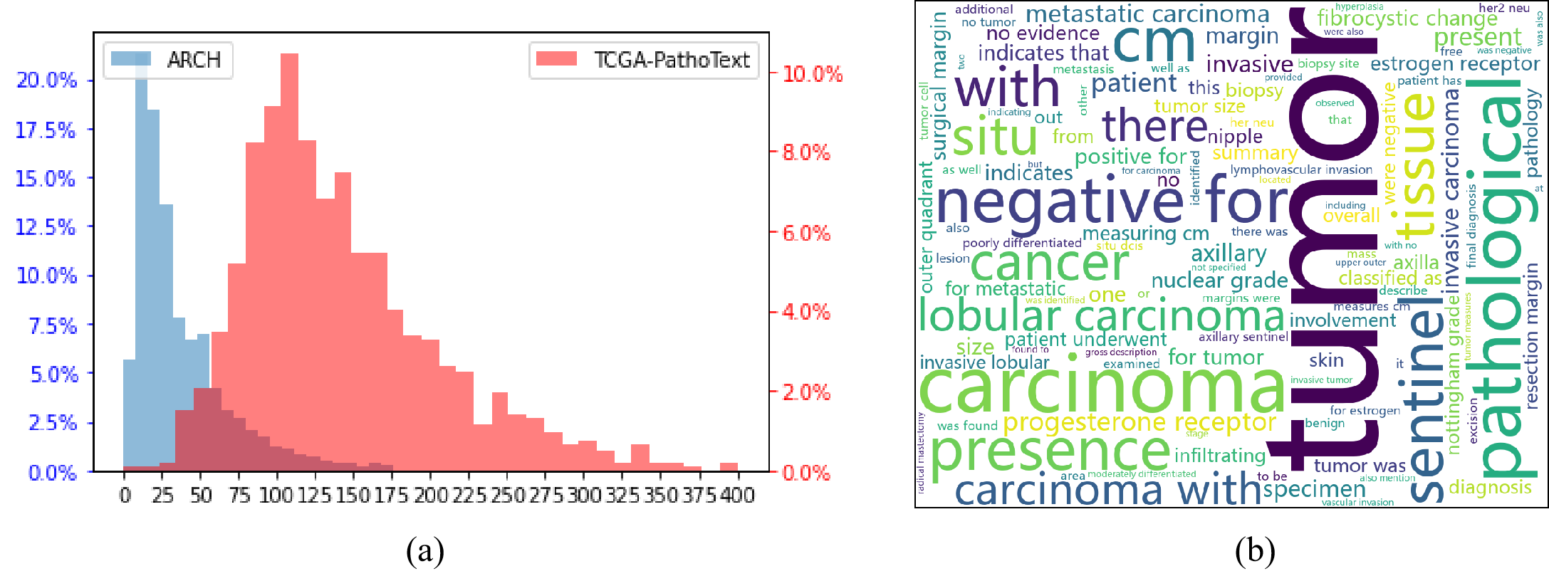 dataset.png