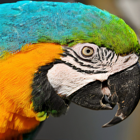 parrot_x4_k12_usrgan.png