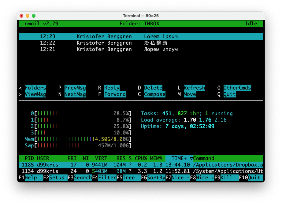 screenshot-nmail-htop-theme.png