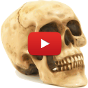 skull_youtube.png