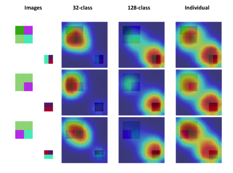 coarse_labels_iccv21.png