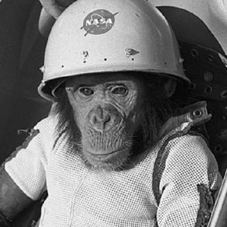 User avatar: Dan Hively