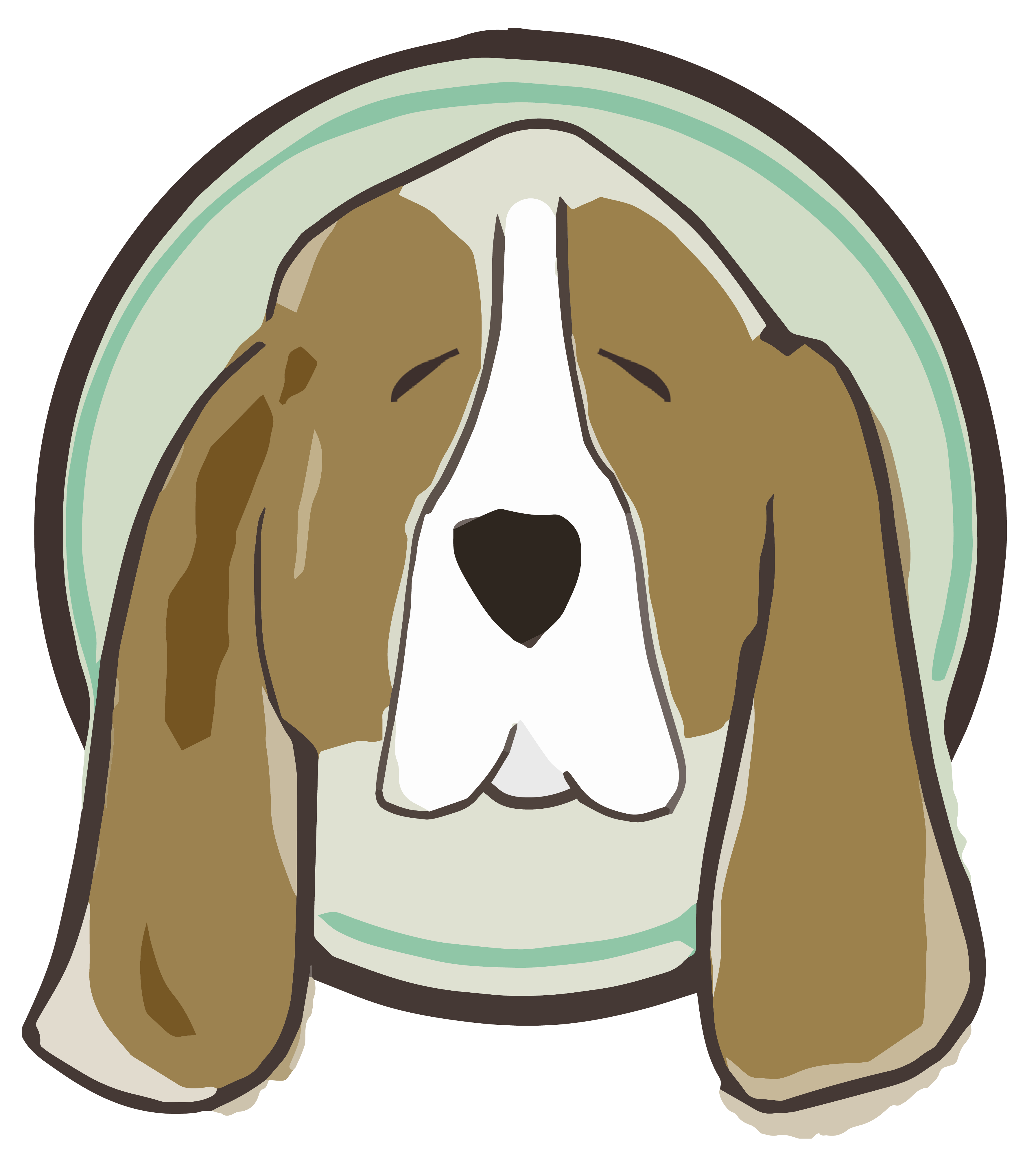 basset_image.png