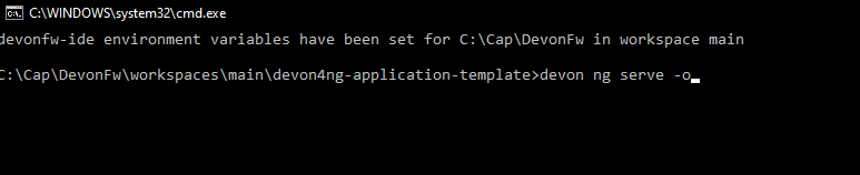 ng serve command