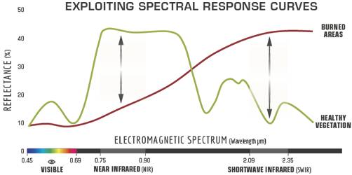 Spectral_responses.jpg