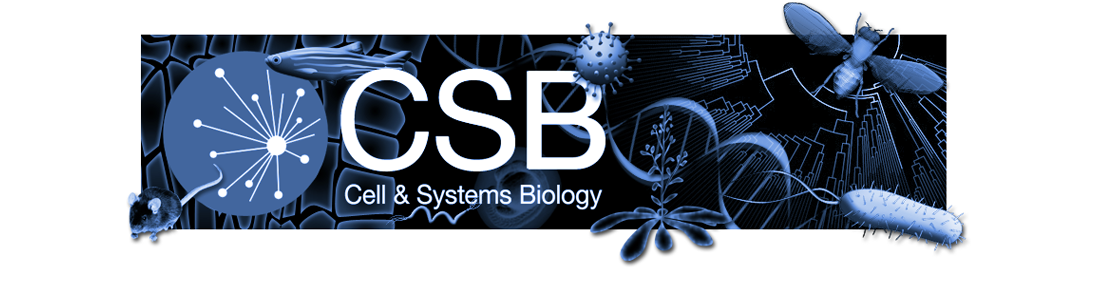 CSB_banner.png