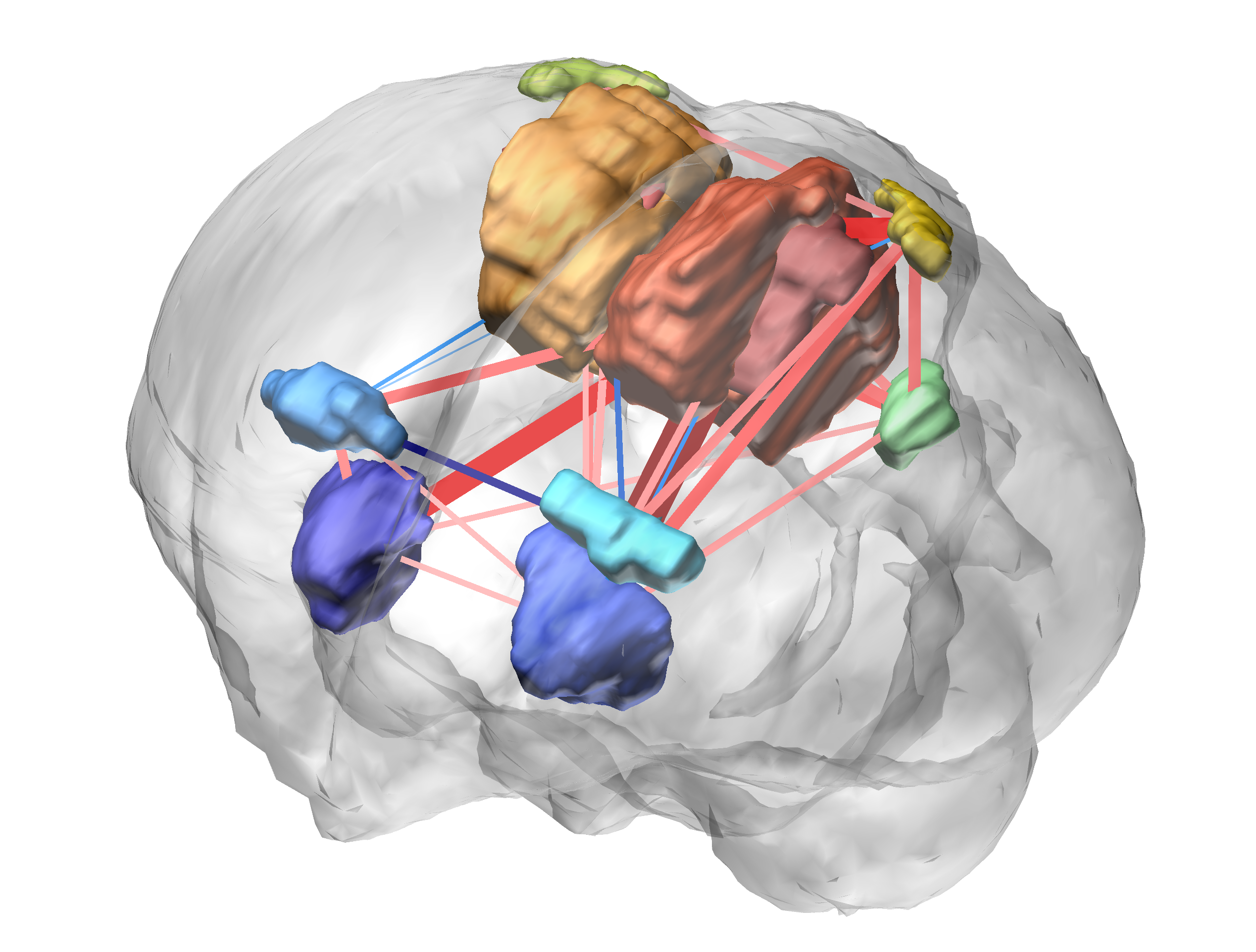 zebra_finch_brain_3d_rois_connections_2.png