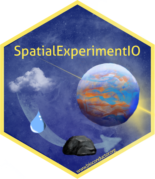 SpatialExperimentIO.png