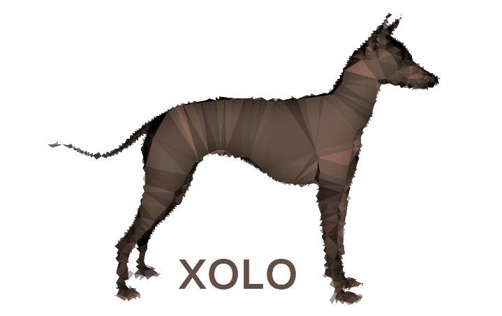 xolo-logo.png