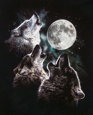 3wolfmoon-download.jpg