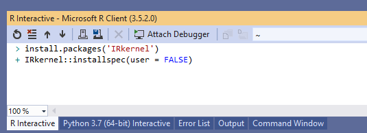 r_interactive_kernel_install.png