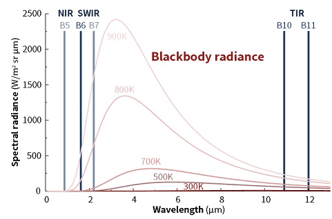 fig1.jpg