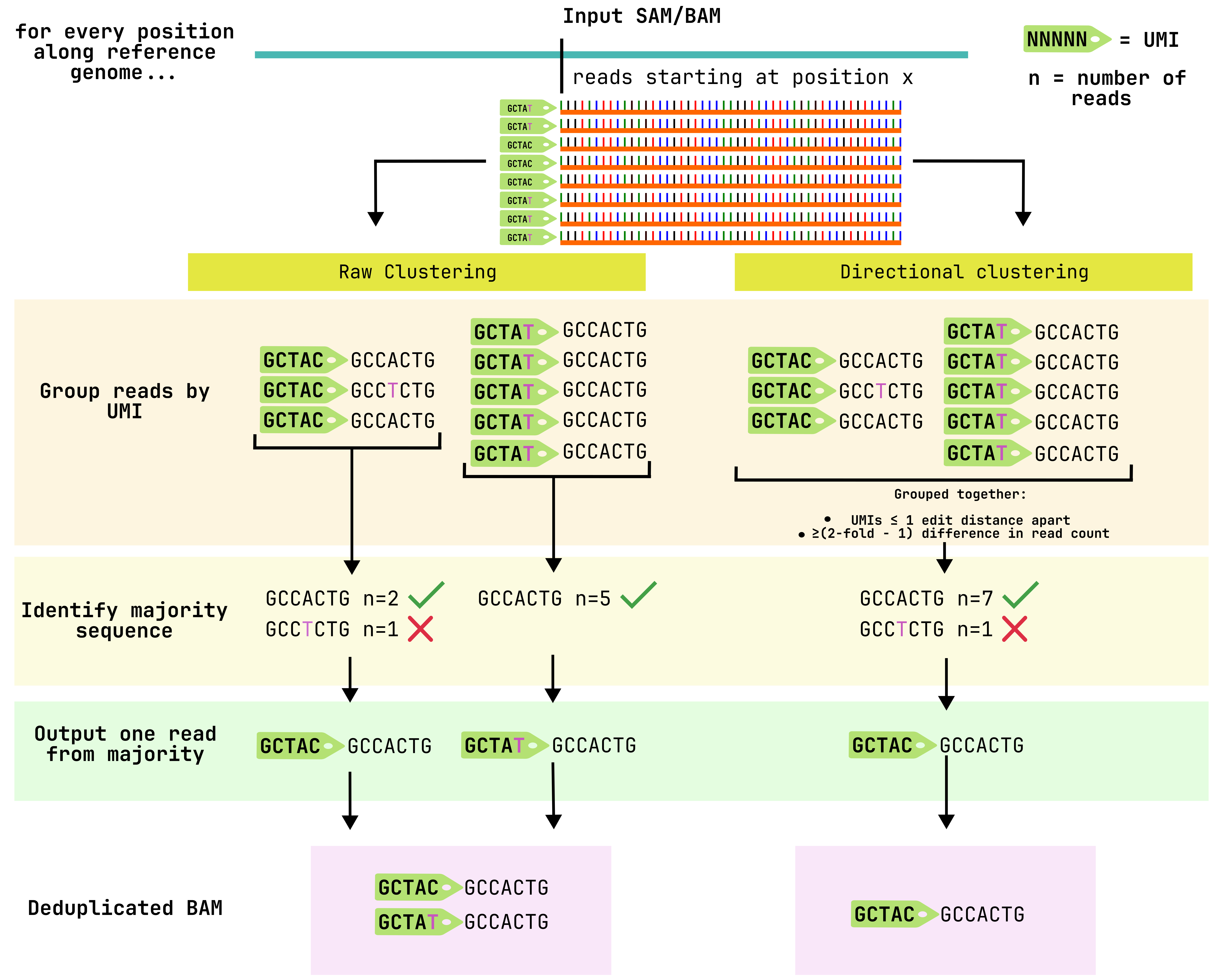 workflow_light.png