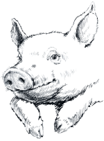 wirepig.png