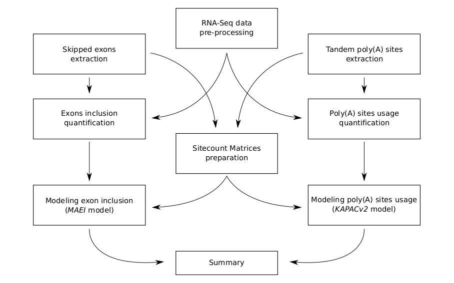 mapp_workflow.png