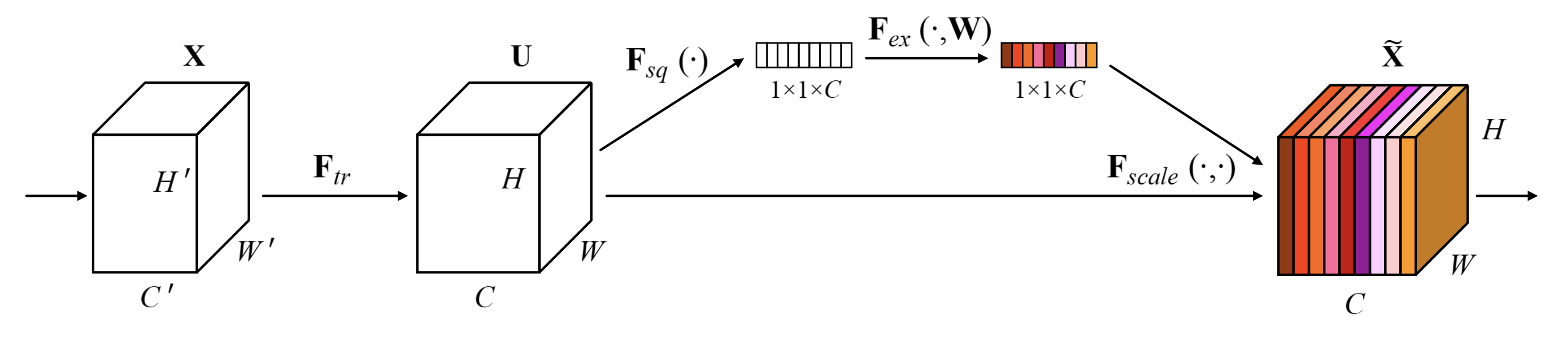 SE_structure.png