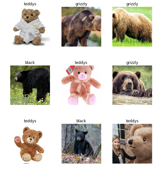 bears.png