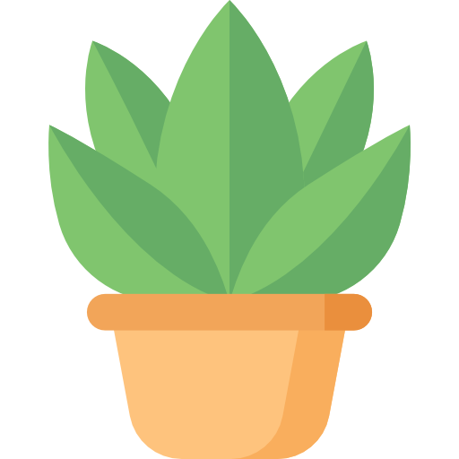 plant.png