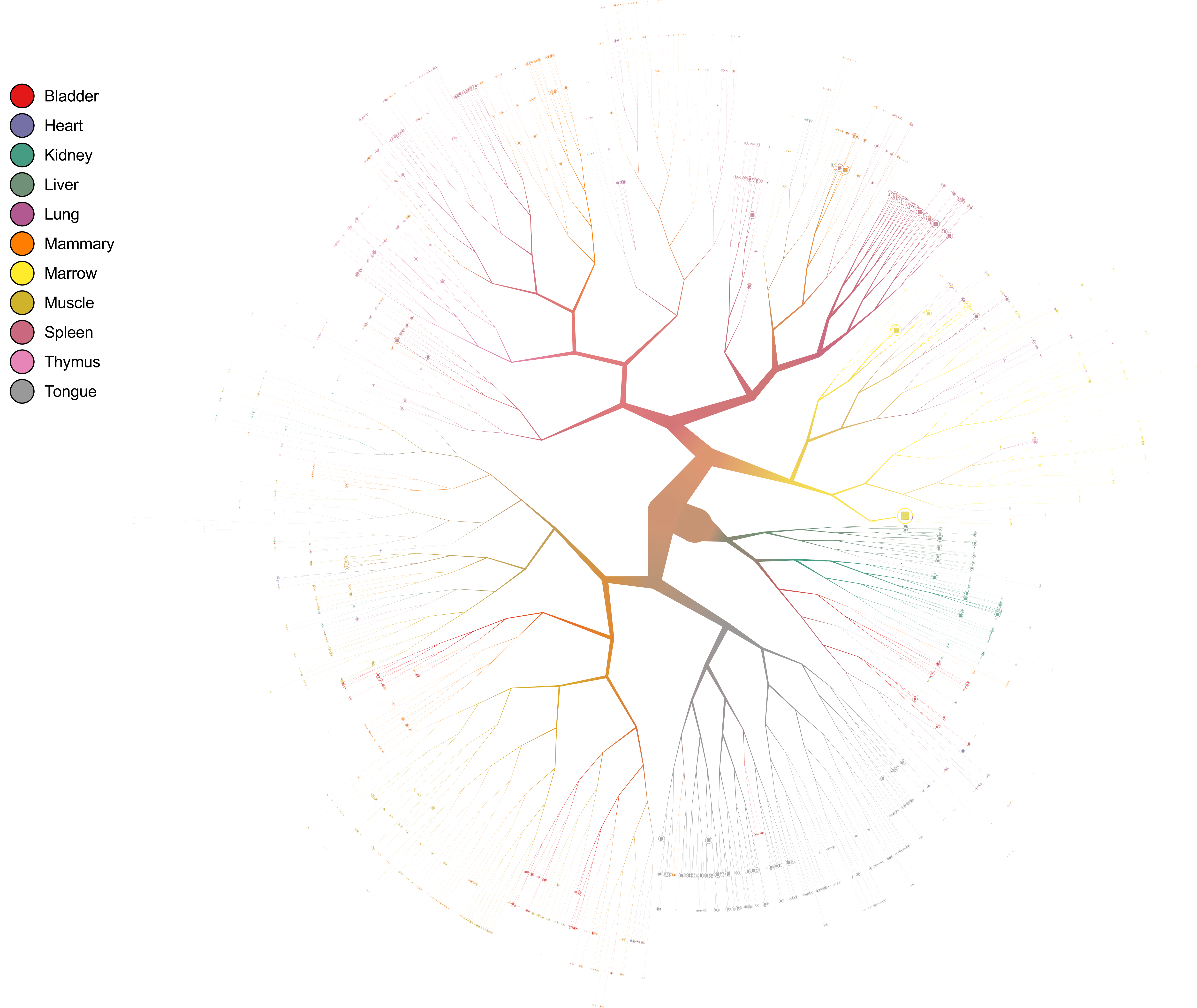 complete_default_tree.png