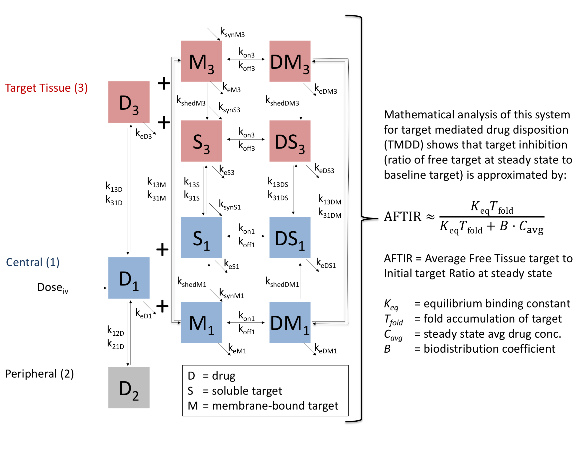 Graphical_Abstract.png