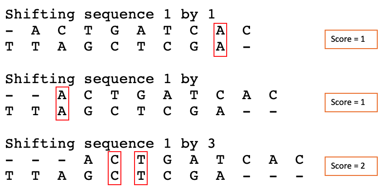 DNA_2.png