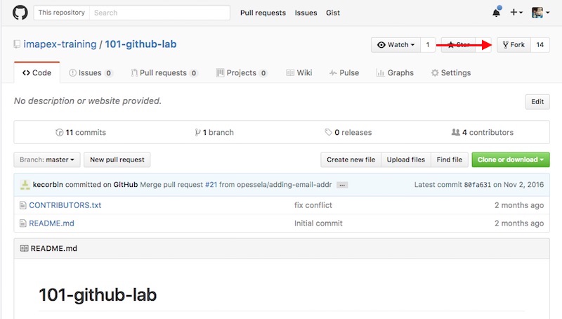 github-fork1.jpg