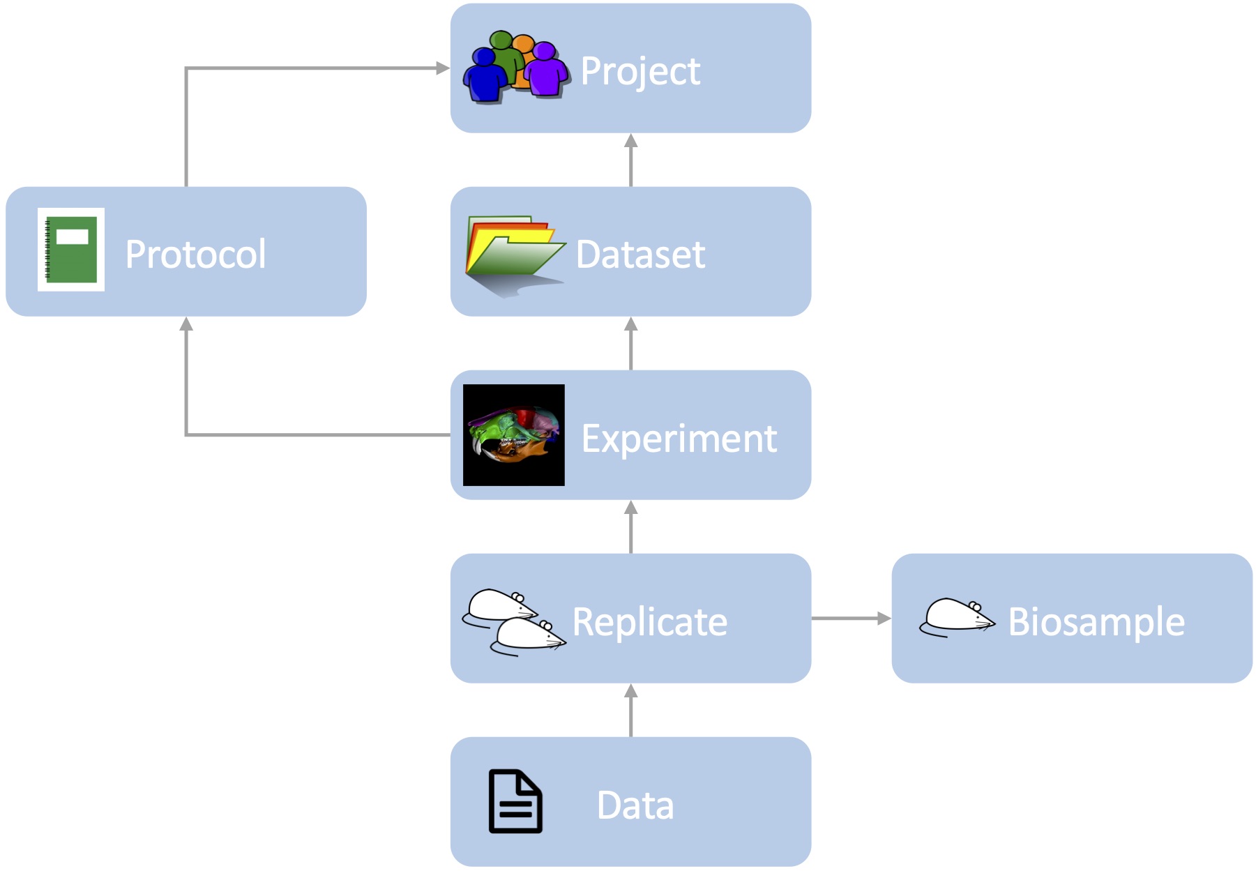 Diagram of key concepts in FaceBase