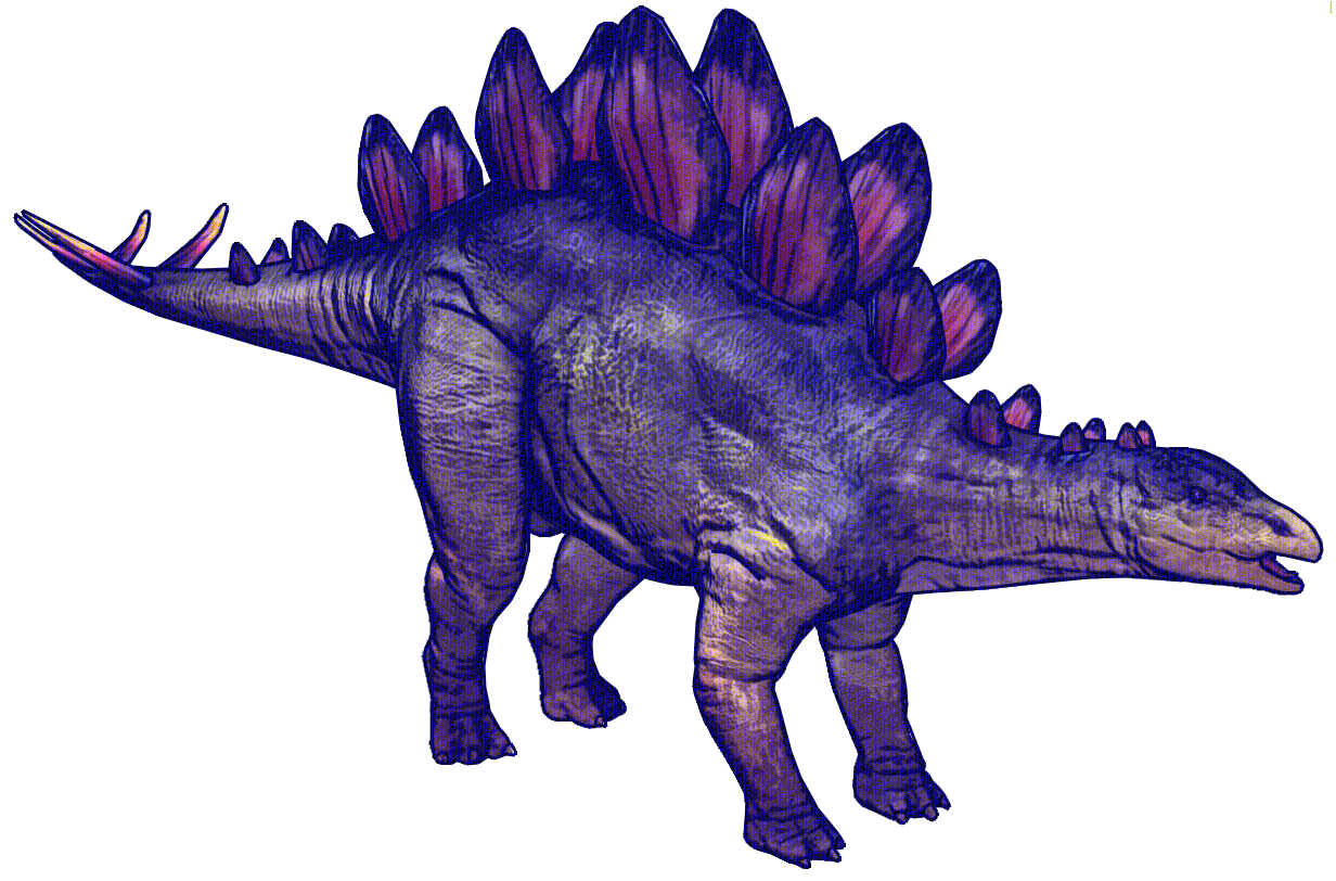 stegosaurus_two1.png