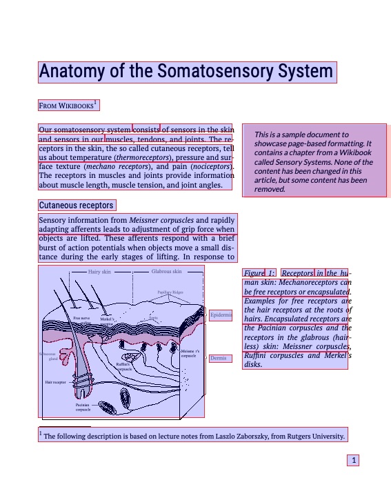 somato_output.jpg