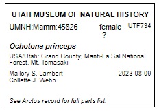 UMNH_mammal_vial_label-no-parts-list_example.jpg