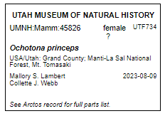 UMNH_mammal_vial_label-no-parts-list_example.png