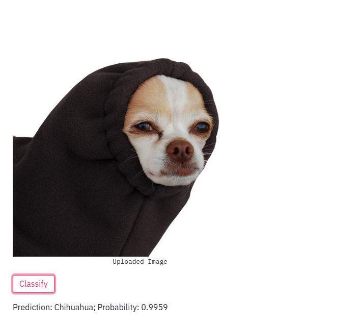 chihuahua_result.png