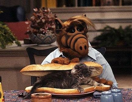 alf_cat.jpg