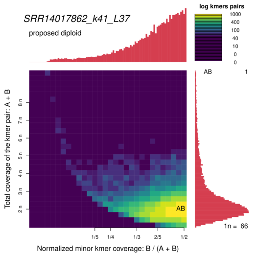 SRR14017862_k41_L37_smudgeplot_smudgeplot_log10.png