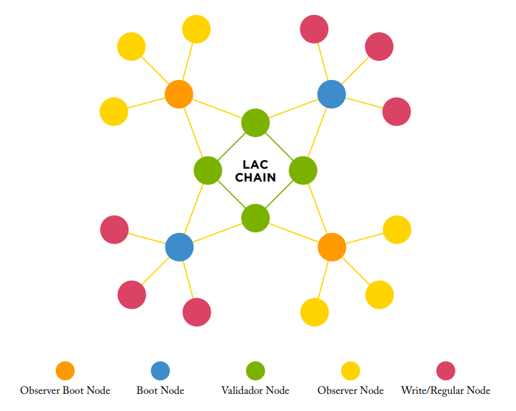 LACChain_topology.PNG