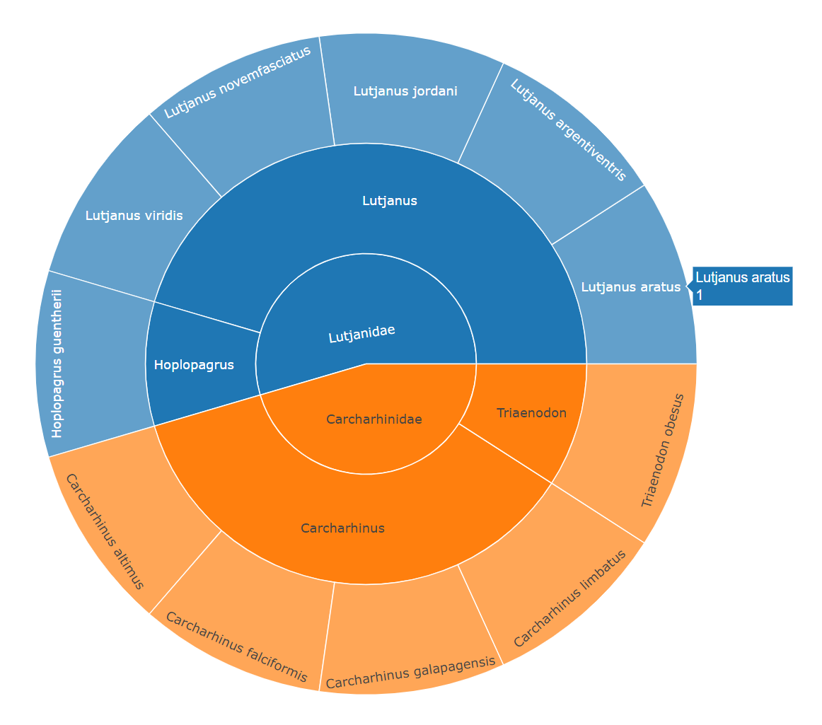 Grafico23Sunburst.png